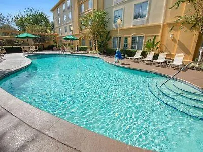 Hotel La Quinta by Wyndham USF  Tampa