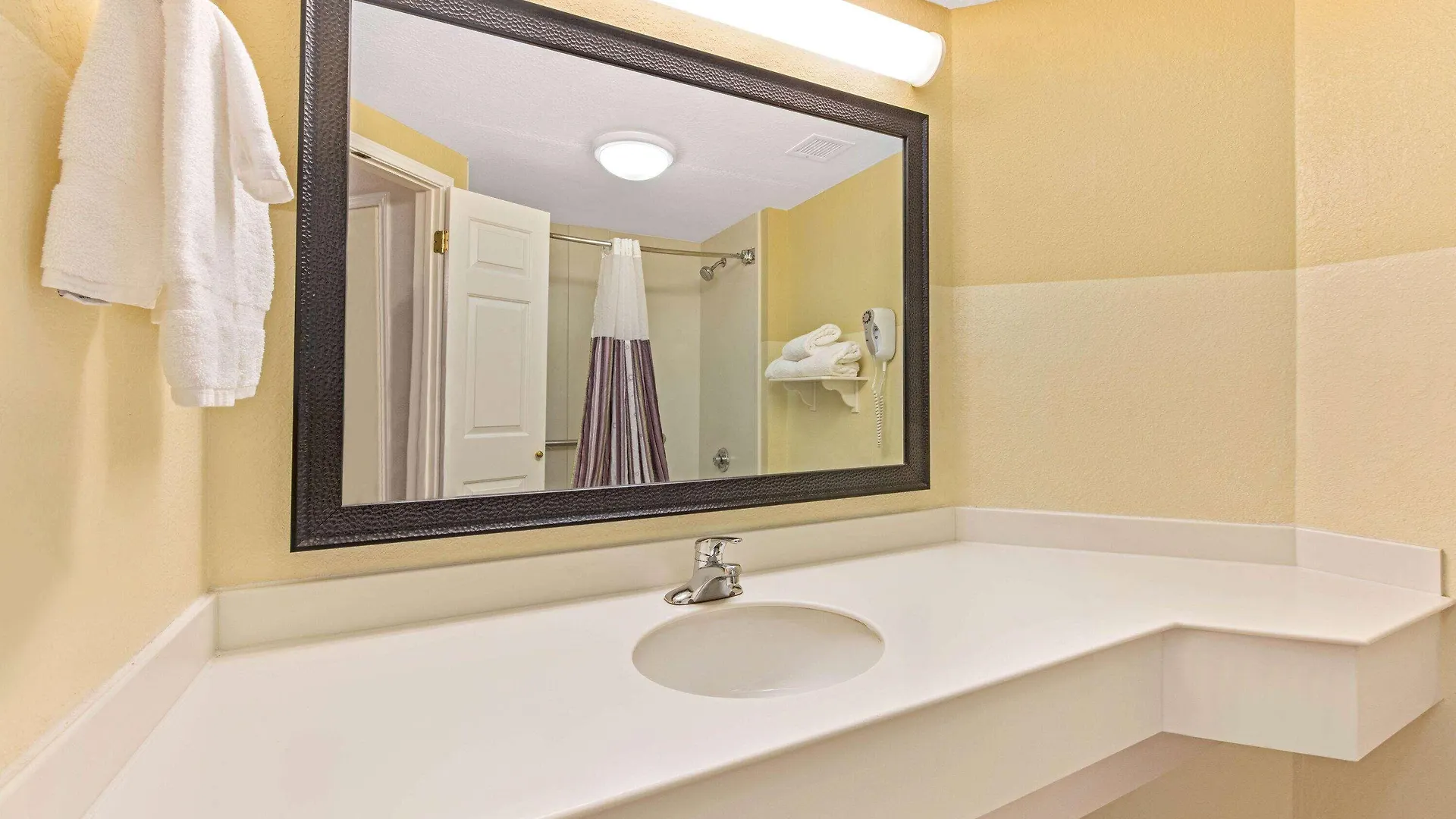 La Quinta By Wyndham Usf Hotel Tampa