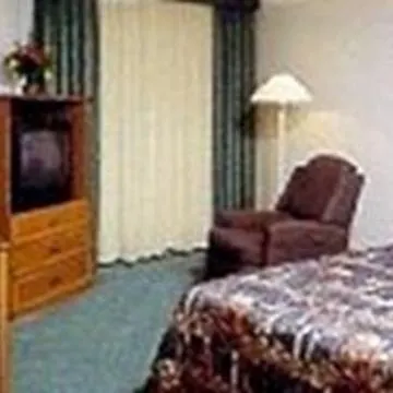 Hotel La Quinta by Wyndham USF  Tampa