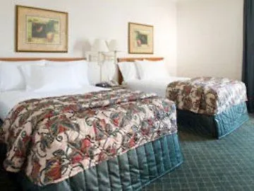 La Quinta By Wyndham Usf Hotel Tampa